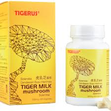 Tigerus Tiger Milk Mushroom 60's